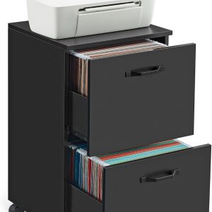 VASAGLE 2-Drawer File Cabinet, Filing Cabinet for Home Office, Small Rolling File Cabinet, Printer Stand, for A4, Letter-Size Files, Hanging File Folders, Industrial, Matte Black UOFC040B16